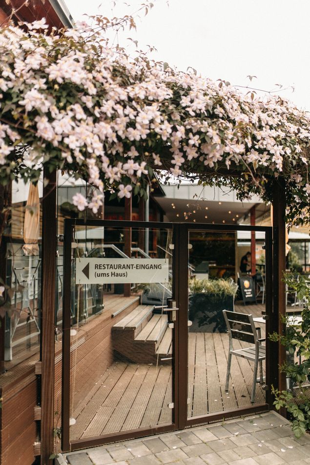 Foto: Michelle Wachholz